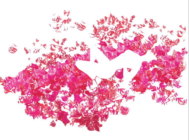 bougainvillea-1