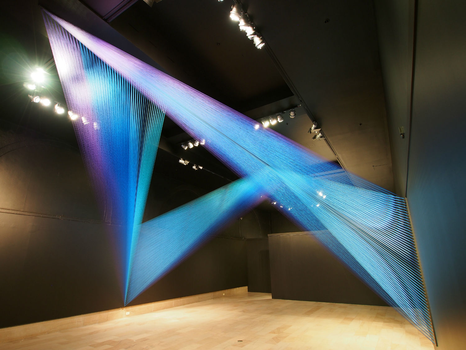 Plexus no. 31, 2015. Site-specific installation at the Newark Museum