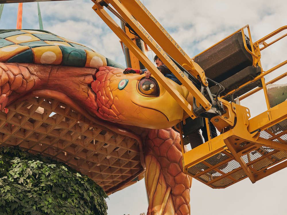 Detail Turtle Photo Credit Carlos Segura