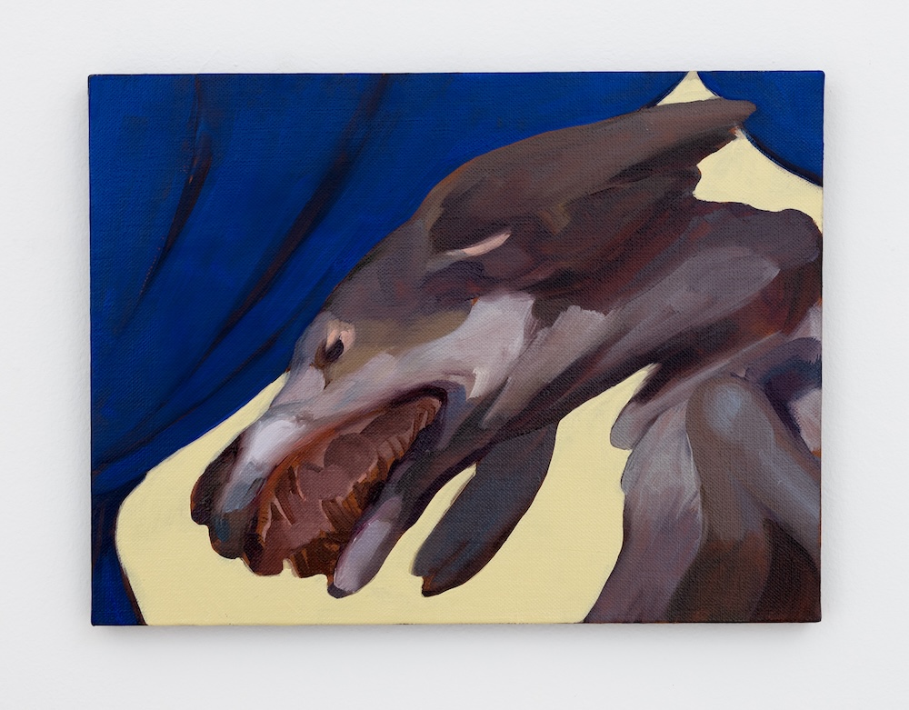 Pig-me: An Interview with Mexican Painter, Gonzalo Garcia