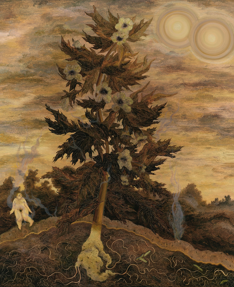 Screenshot 2025 12 29 at 10.55.46 AM