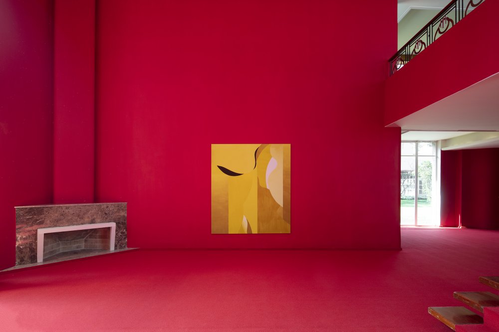  21a6168.jpg 20260206173747.1000 0 85