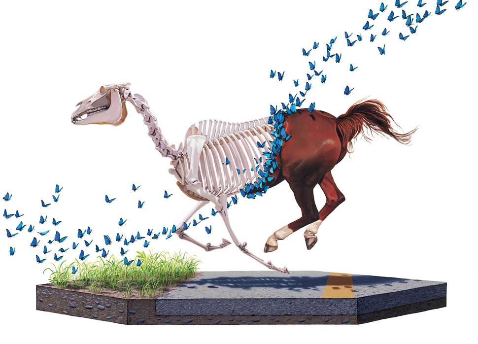 Josh Keyes “Shedding”