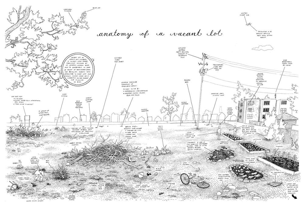 Anders Nilsen, Anatomy of a Vacant Lot, 2010-11. Ink and white-out on board; 23 × 35 in Image courtesy of the artist