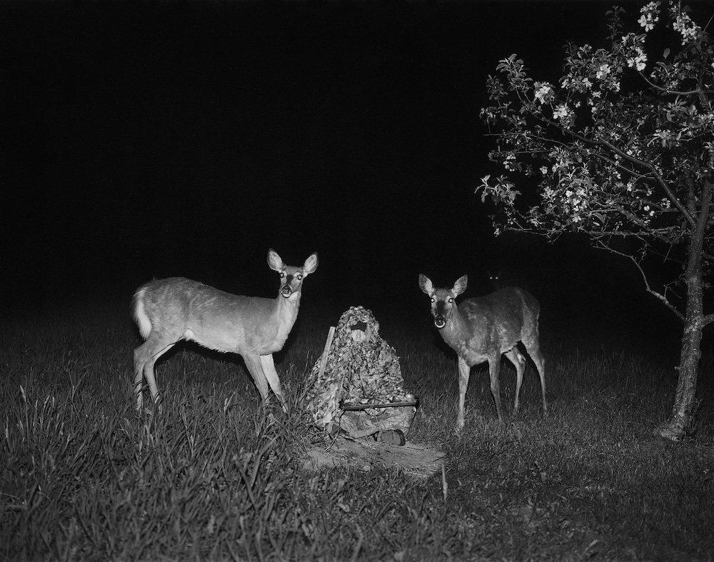 the orchard (ghillie suit, apples, Scent Killer Gold), 2022 // All images courtesy of and owned by Pia Paulina Guilmoth