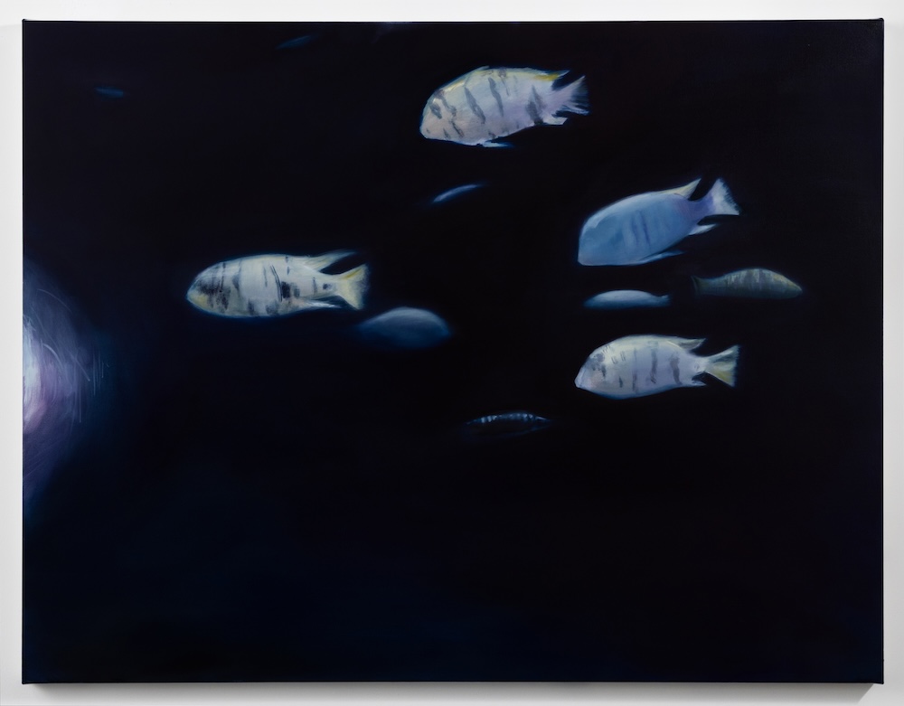 Carousel Image number 2