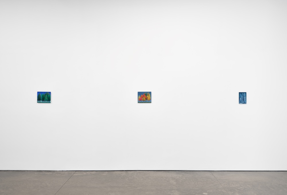 Carousel Image number 4