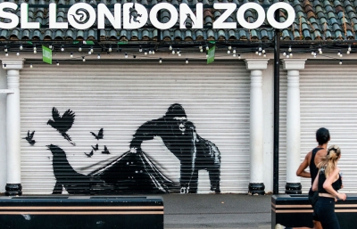 And on Day 9... Banksy's Gorilla Has Let the Animals Out of the London Zoo