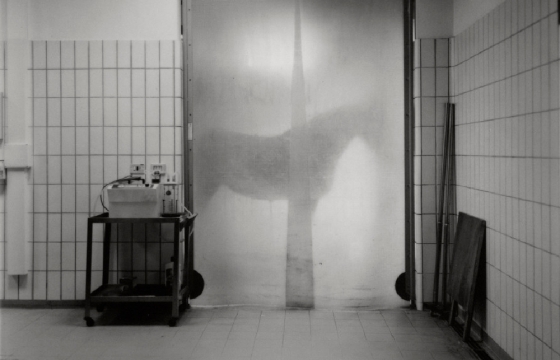 Andrea Modica's Photographs of an Italian Horse Hospital