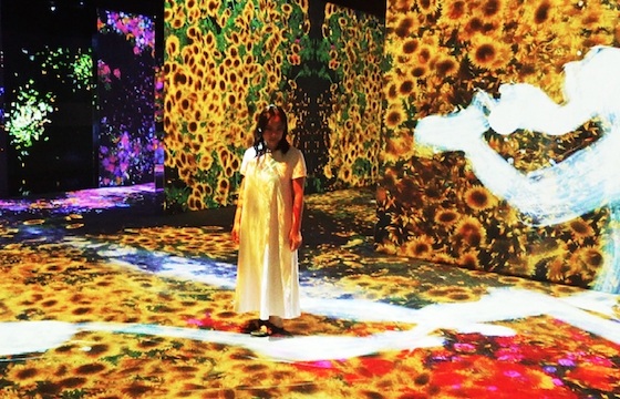 The Interactive and Immersive Universe of teamLab: Continuity @ Asian Art Museum, San Francisco